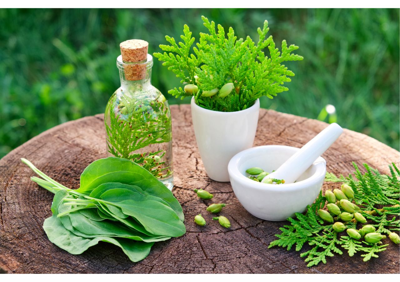 naturopathic method to trat womens health