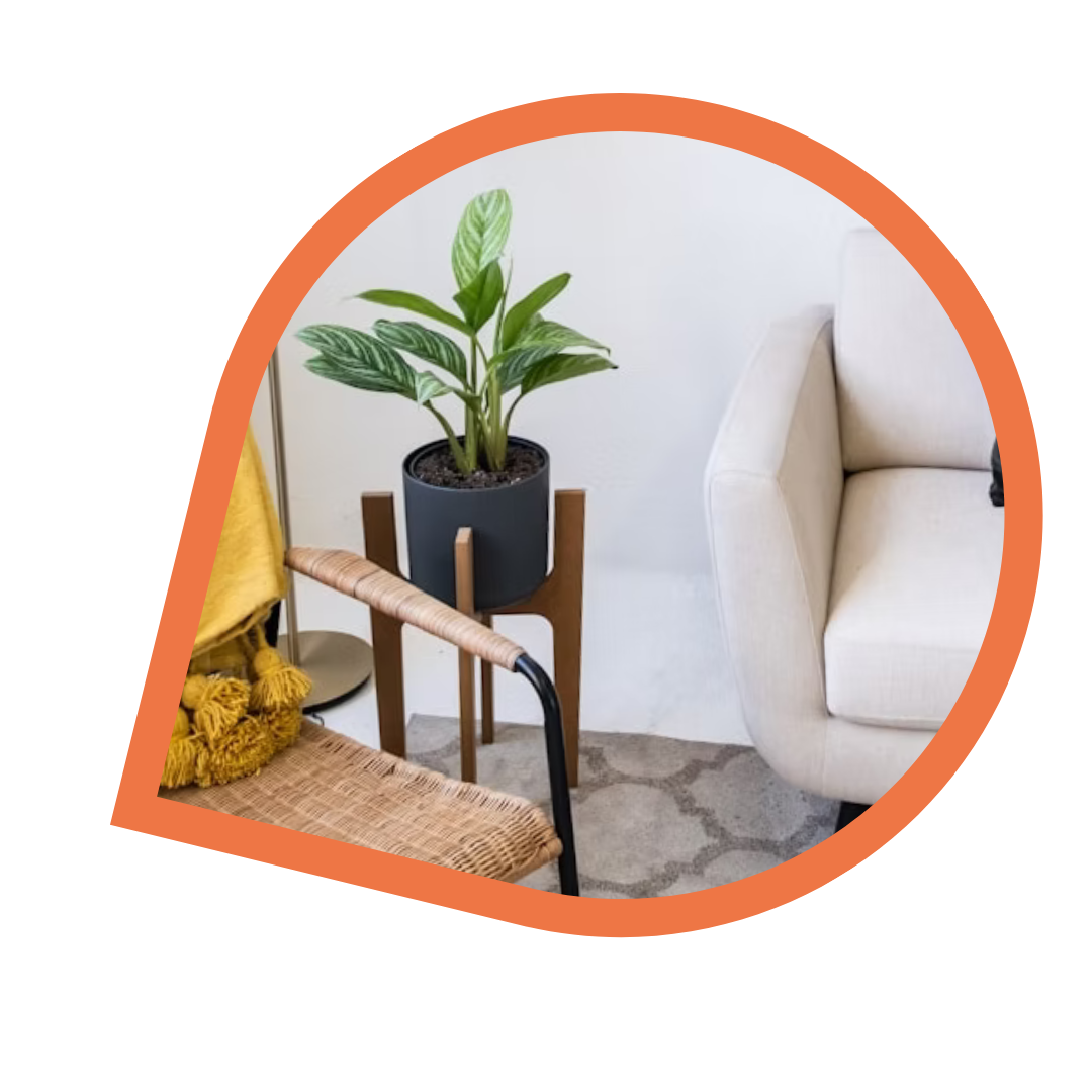 Traditional Chinese medicine at The Health Collective