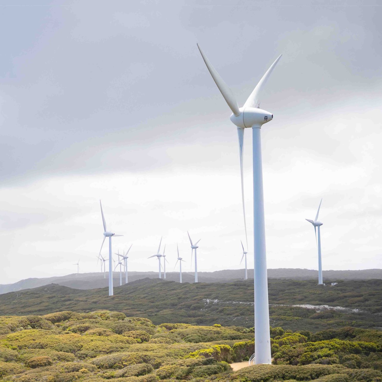 Classroom Wind turbines on a hill