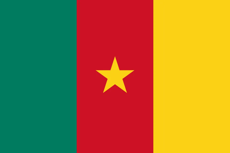 flag flag south africa
