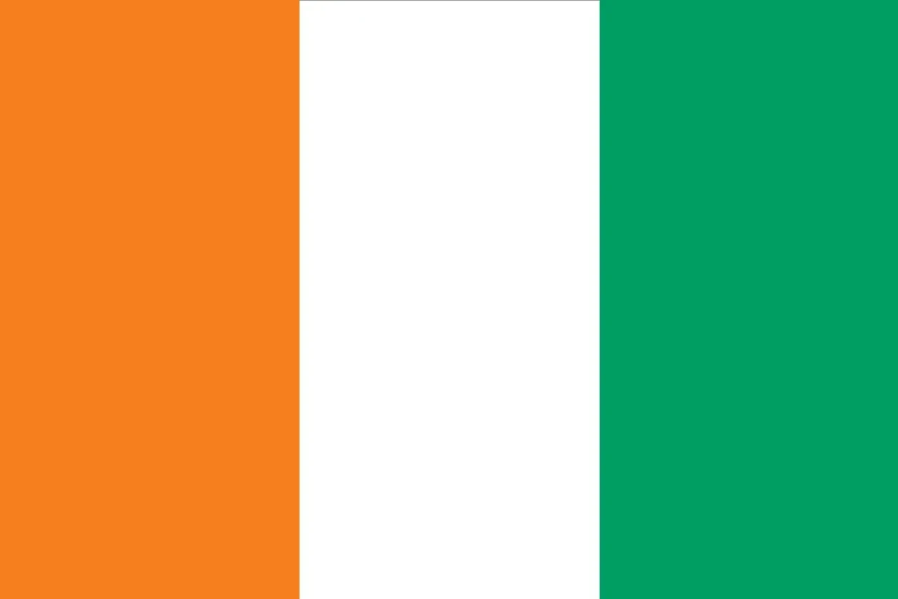 flag flag south africa