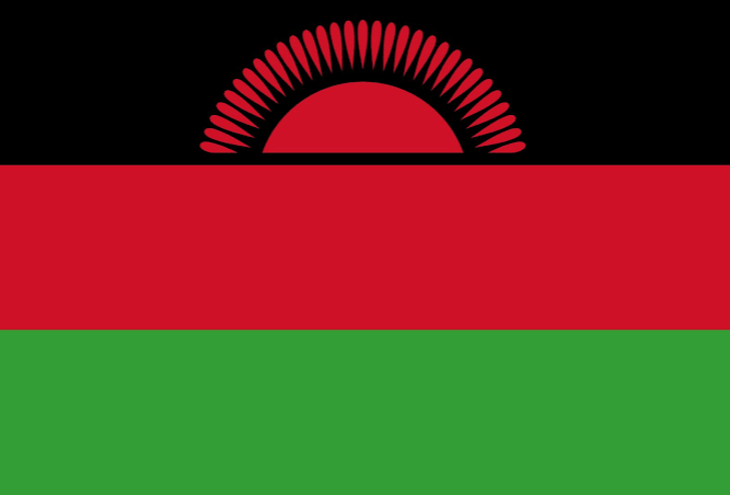 flag flag south africa