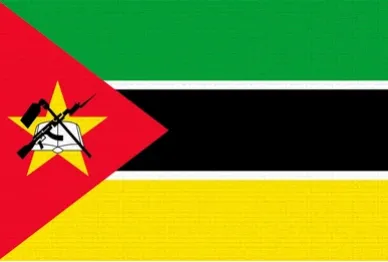 flag flag south africa
