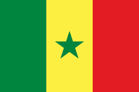 flag flag south africa