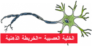 الخريطة الذهنية