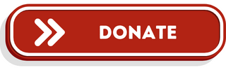 donate button