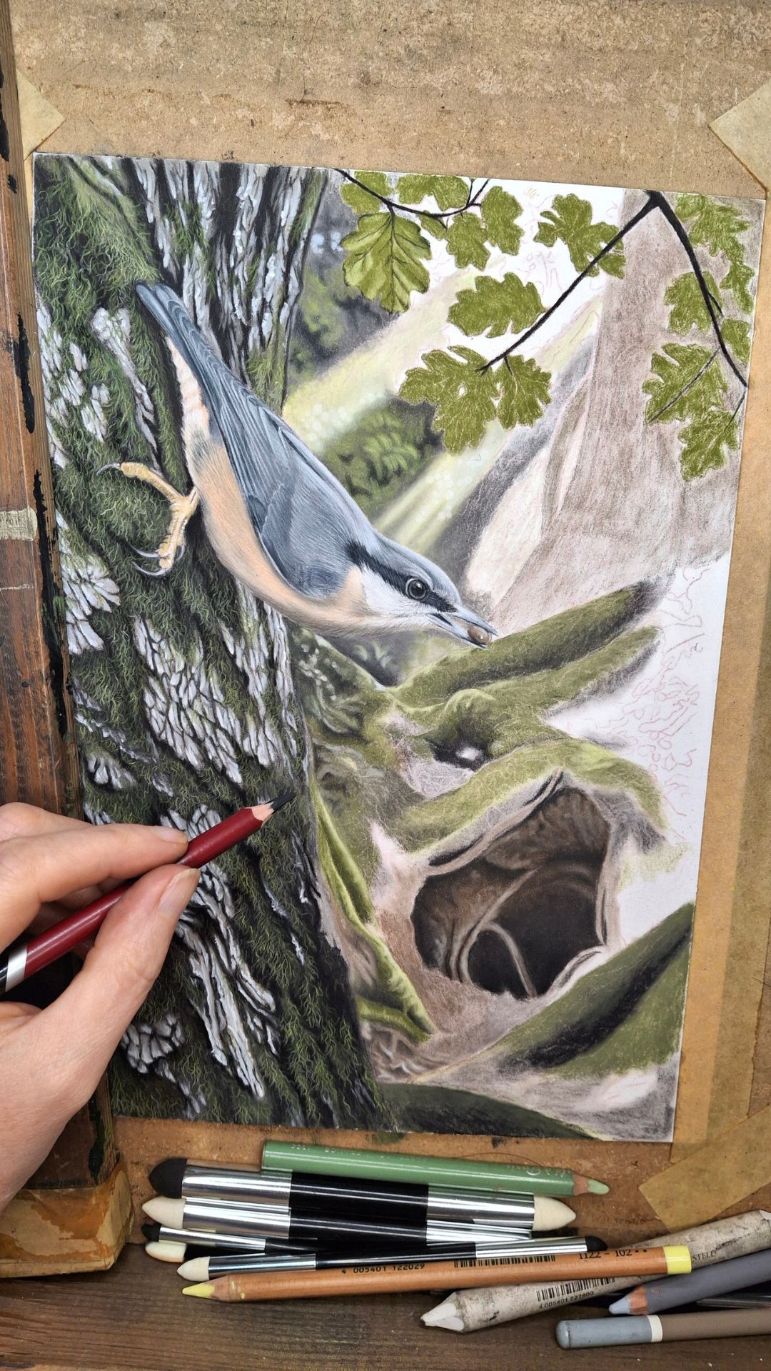 Original British wildlife pastel artwork in progress