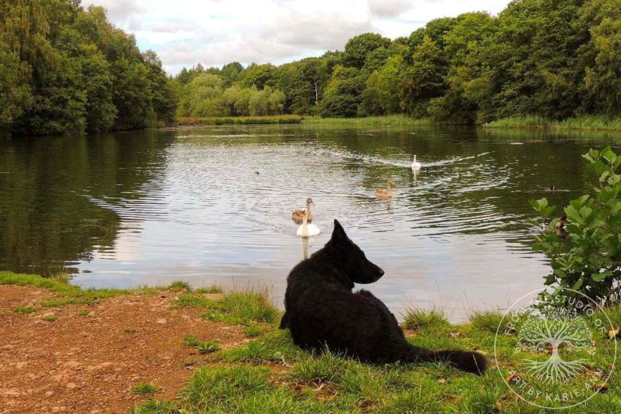 view to Coughton Corner
