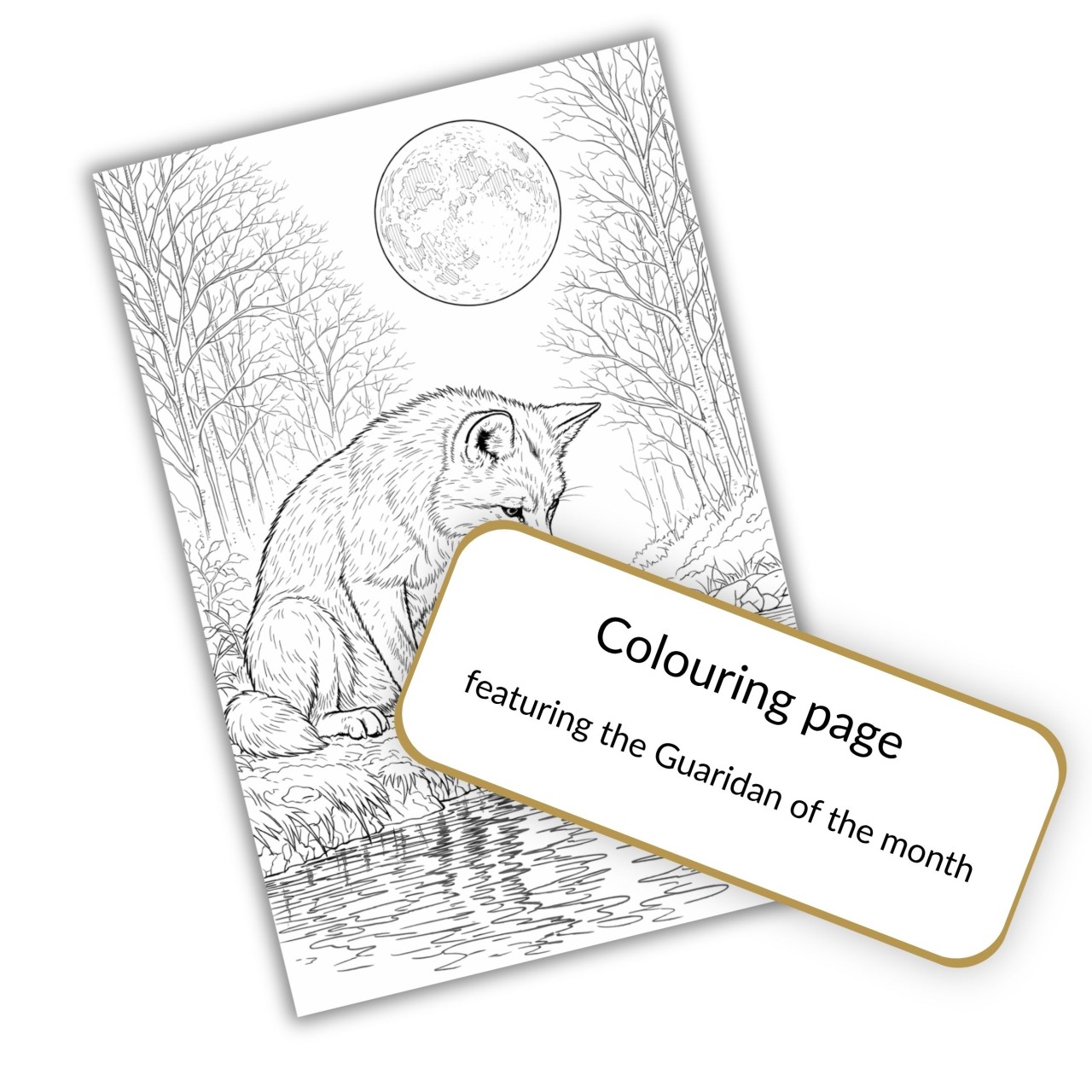 British wildlife Guardian colouring page included in the monthly art subscription