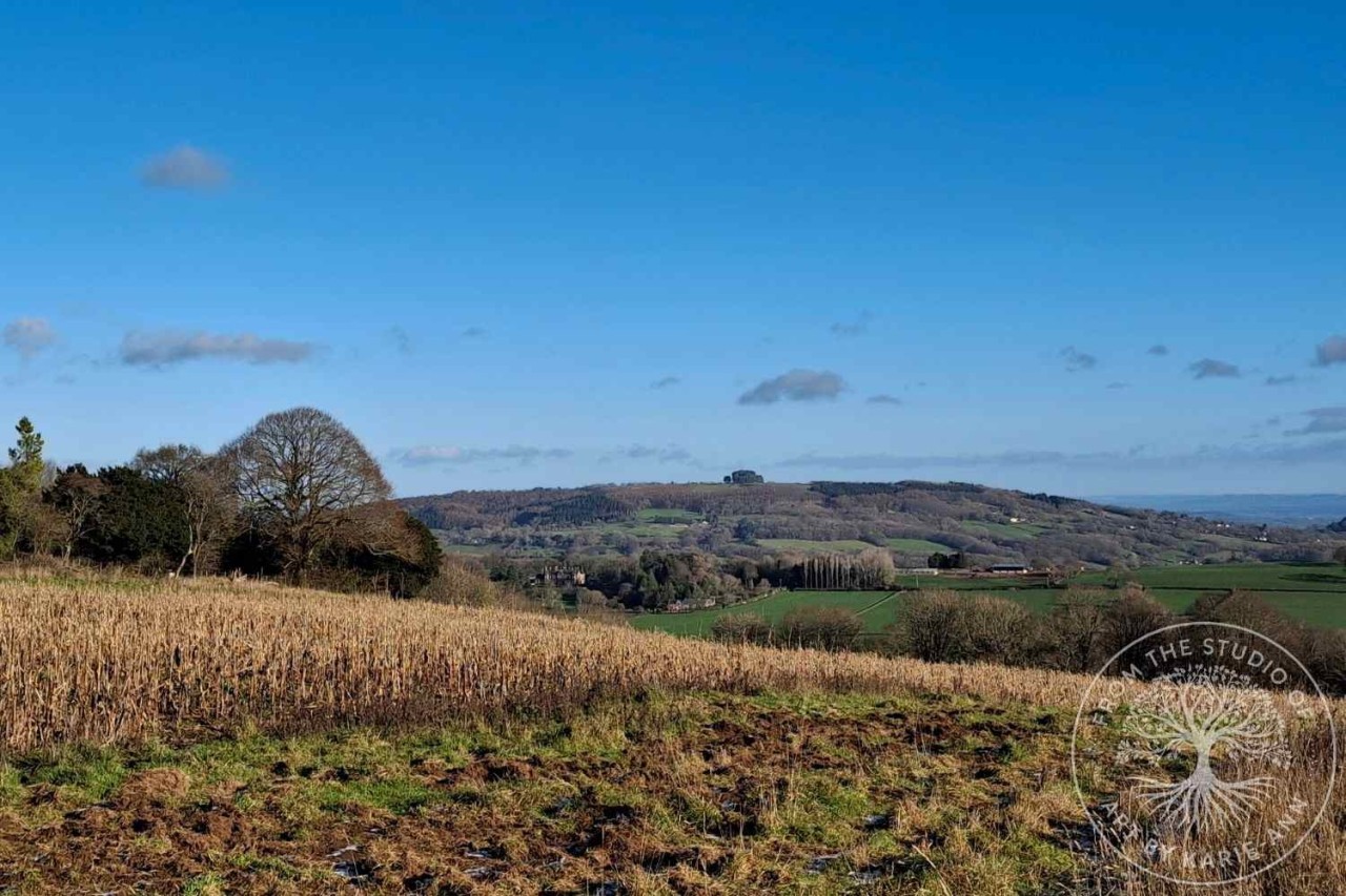 Woorgreen Nature Reserve