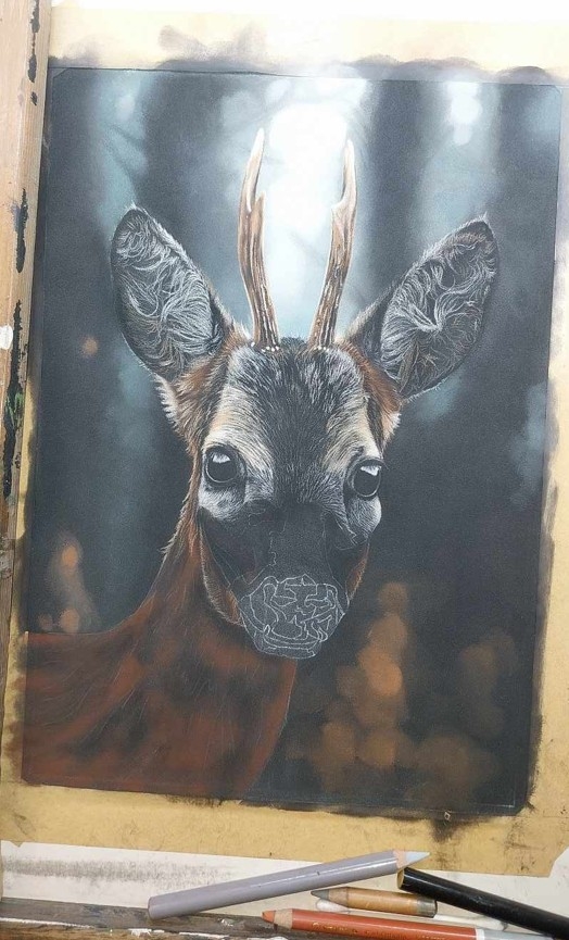 Original British wildlife pastel artwork in progress