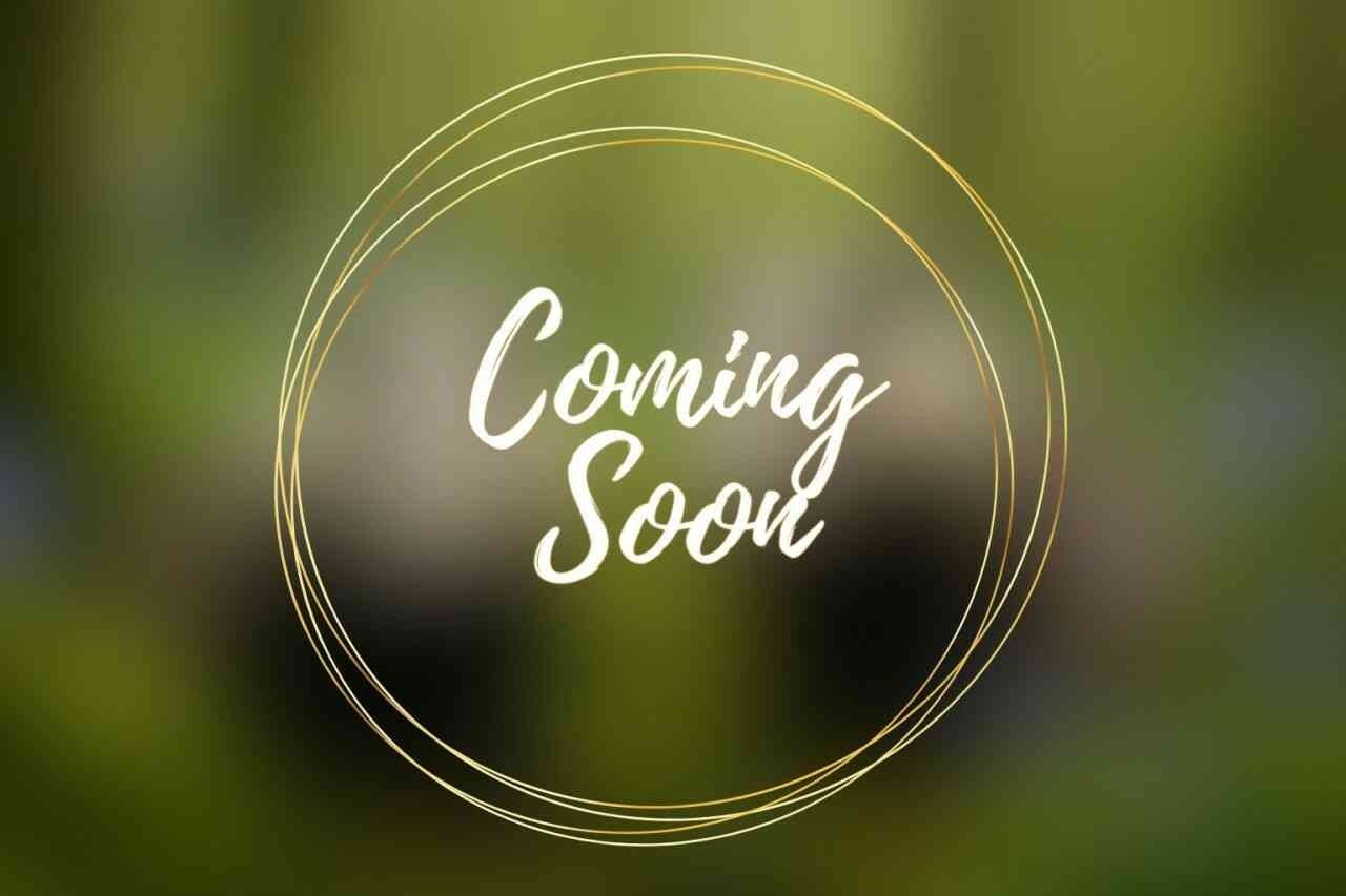 Woodland Realm guardian teaser – coming soon