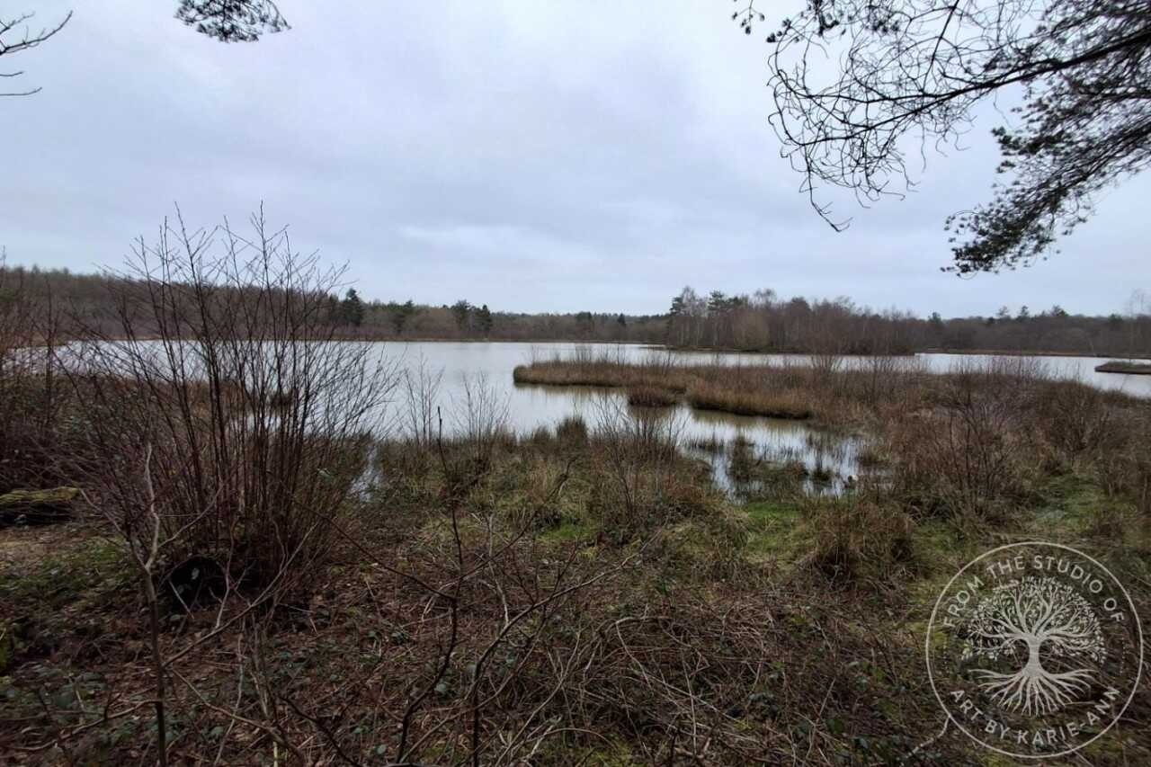 Woorgreen Nature Reserve