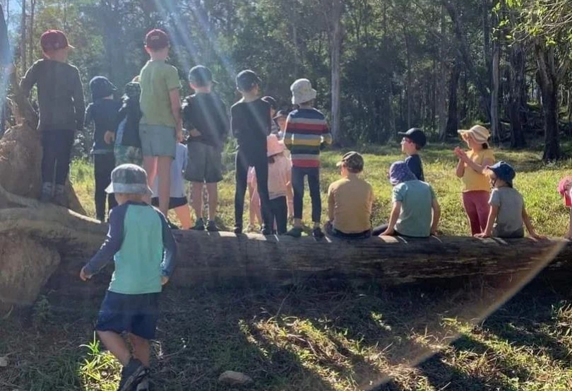 nature play, forest school, bush kindy, loose parts, playwork