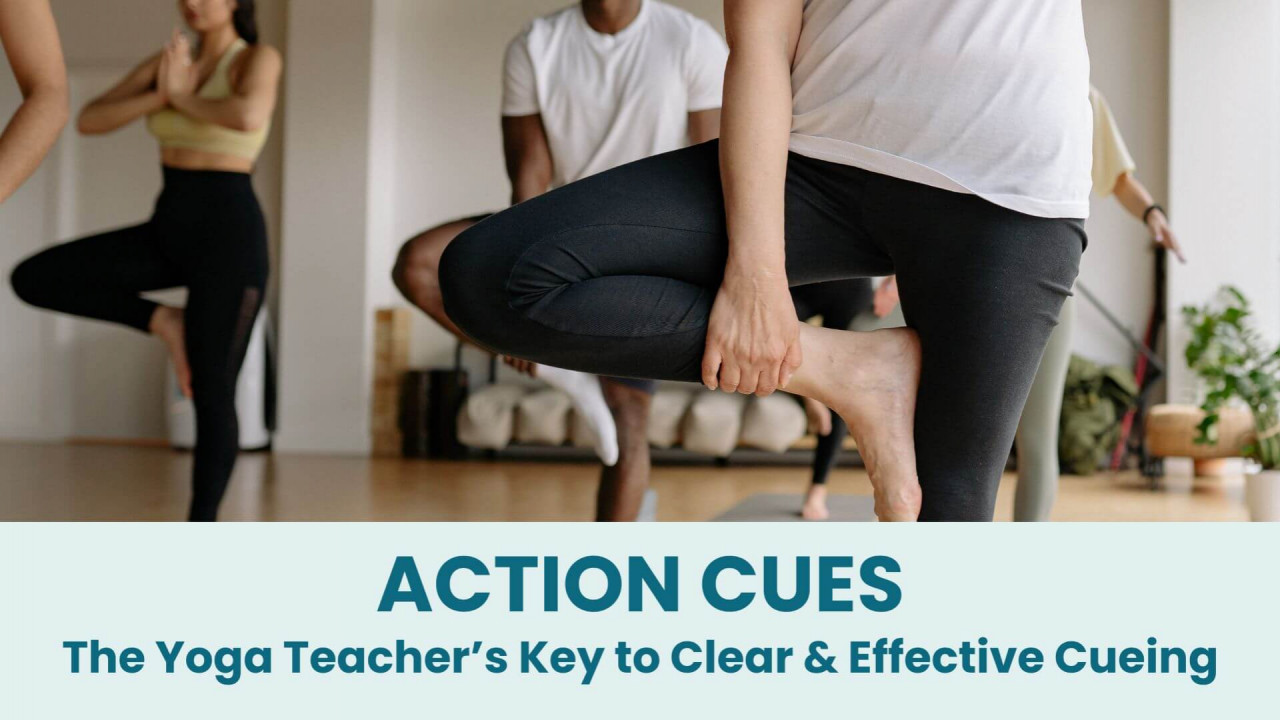 Free Online Yoga Anatomy Course for Cuing