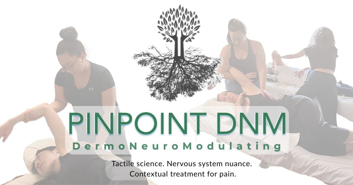 Pinpoint DNM — Dermoneuromodulating Training & Certification
