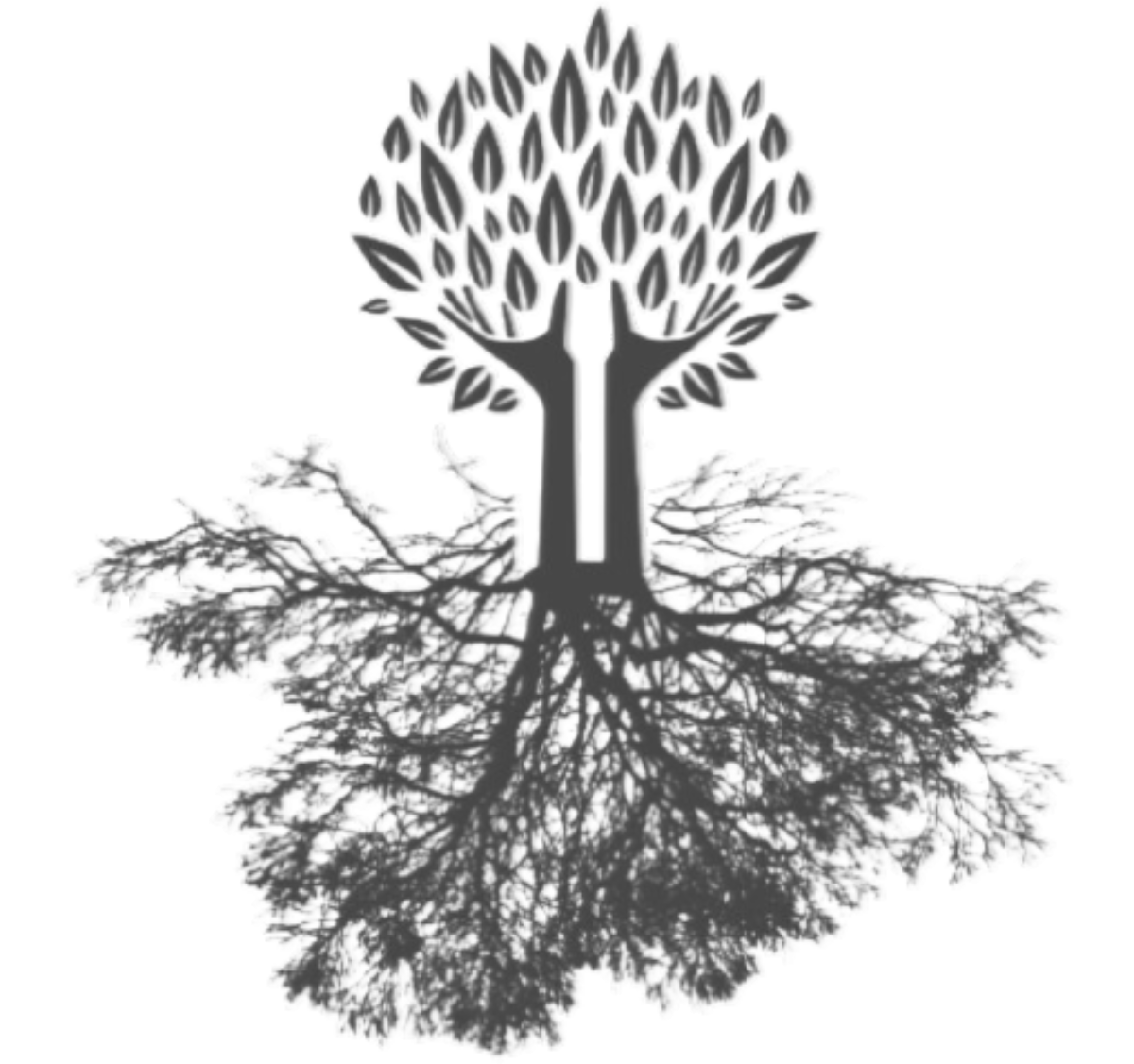 Pinpoint DNM tree logo
