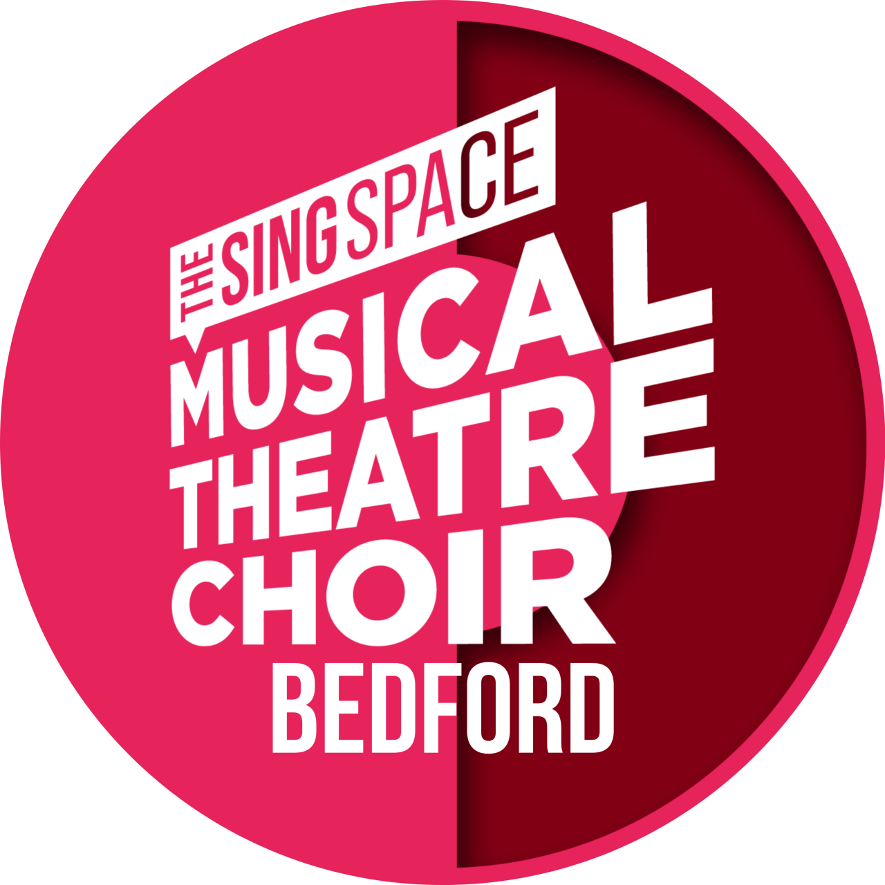 The Sing Space Musical Theatre Choir