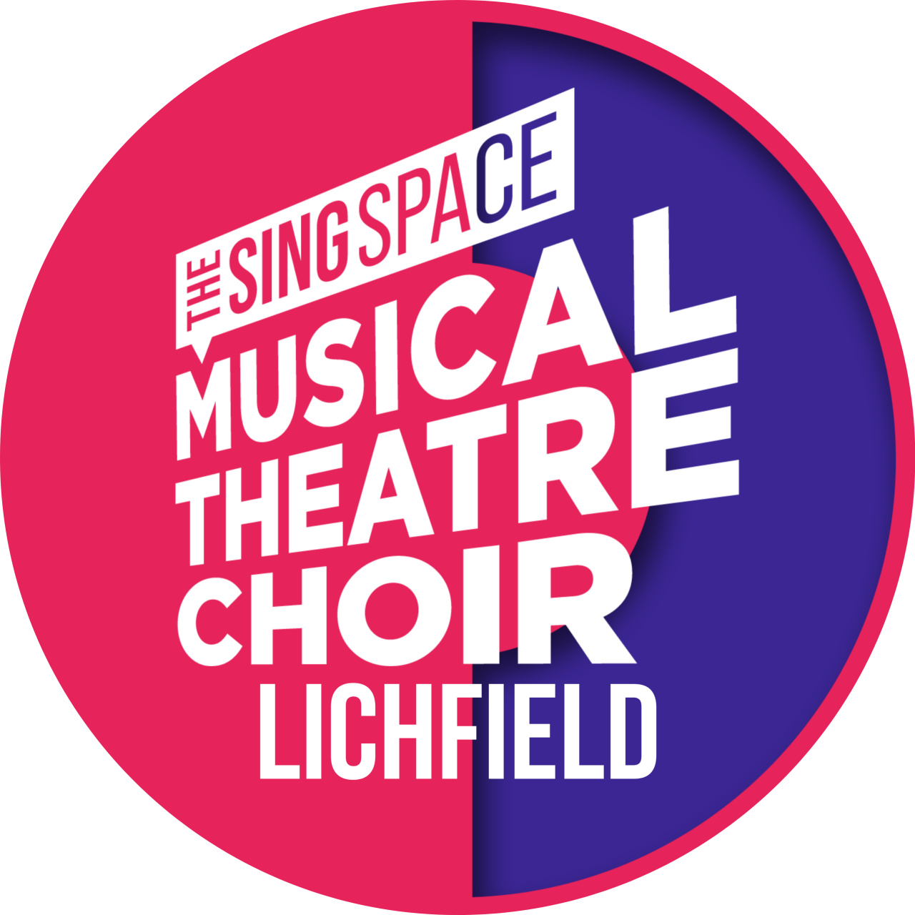 The Sing Space Musical Theatre Choir