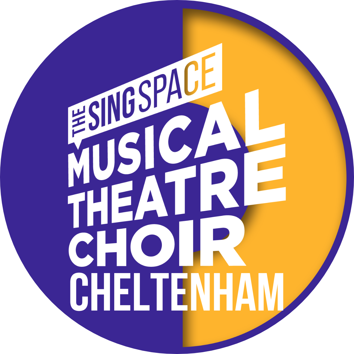 The Sing Space Musical Theatre Choir
