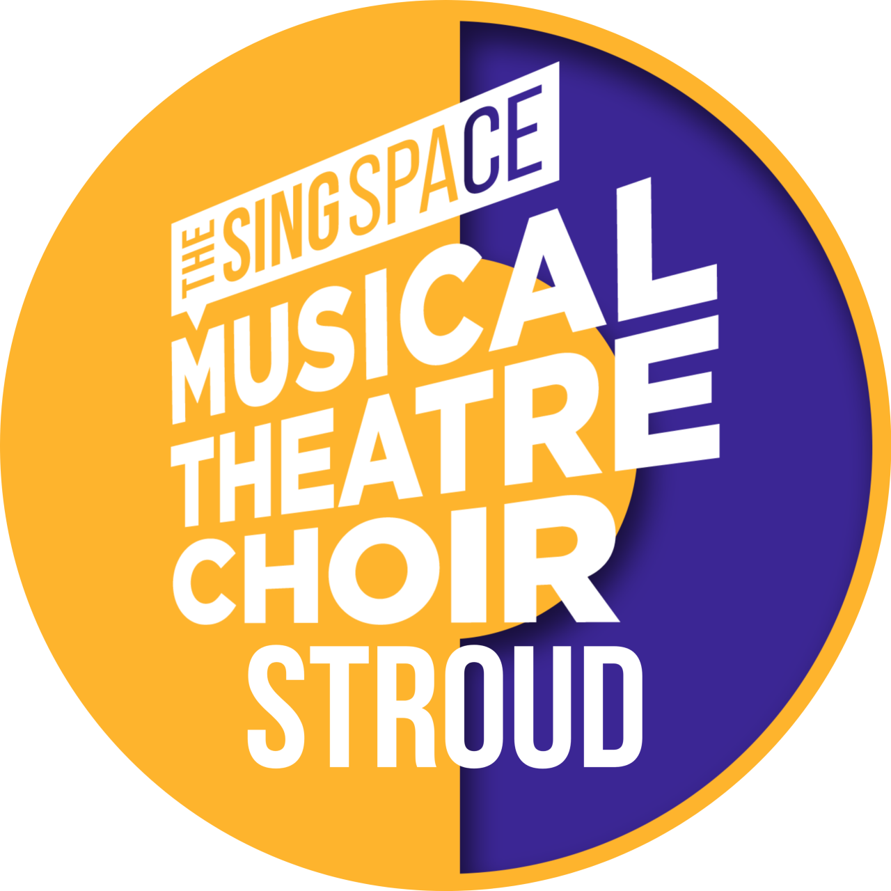 The Sing Space Musical Theatre Choir