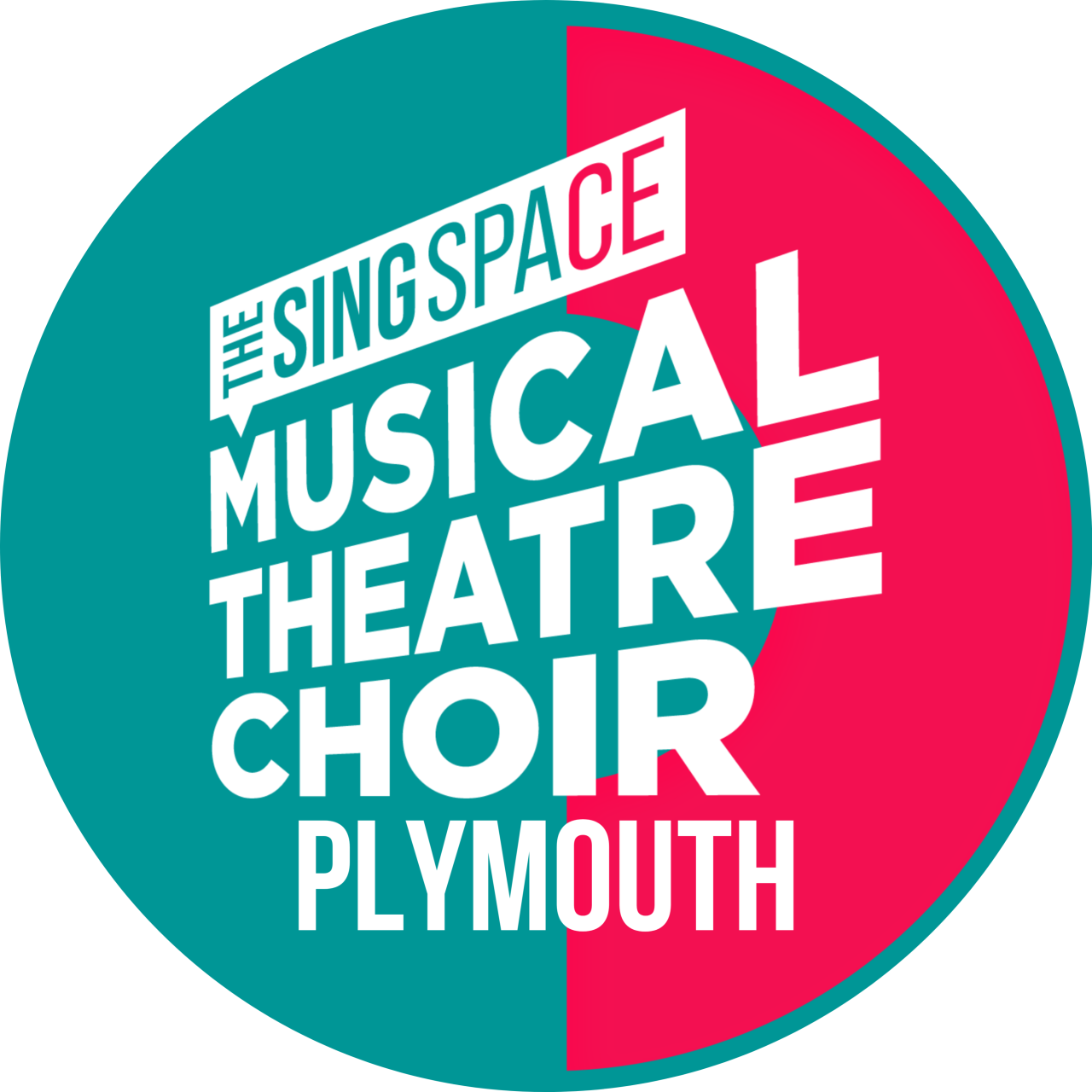 The Sing Space Musical Theatre Choir