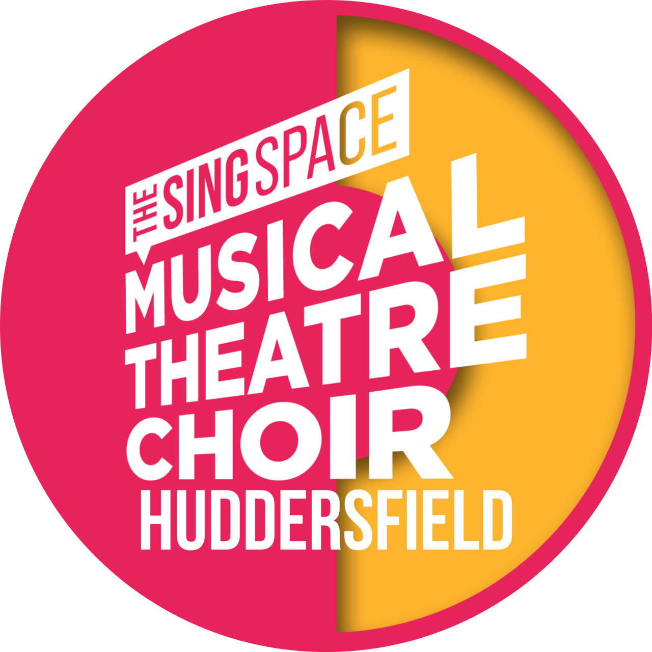 The Sing Space Musical Theatre Choir