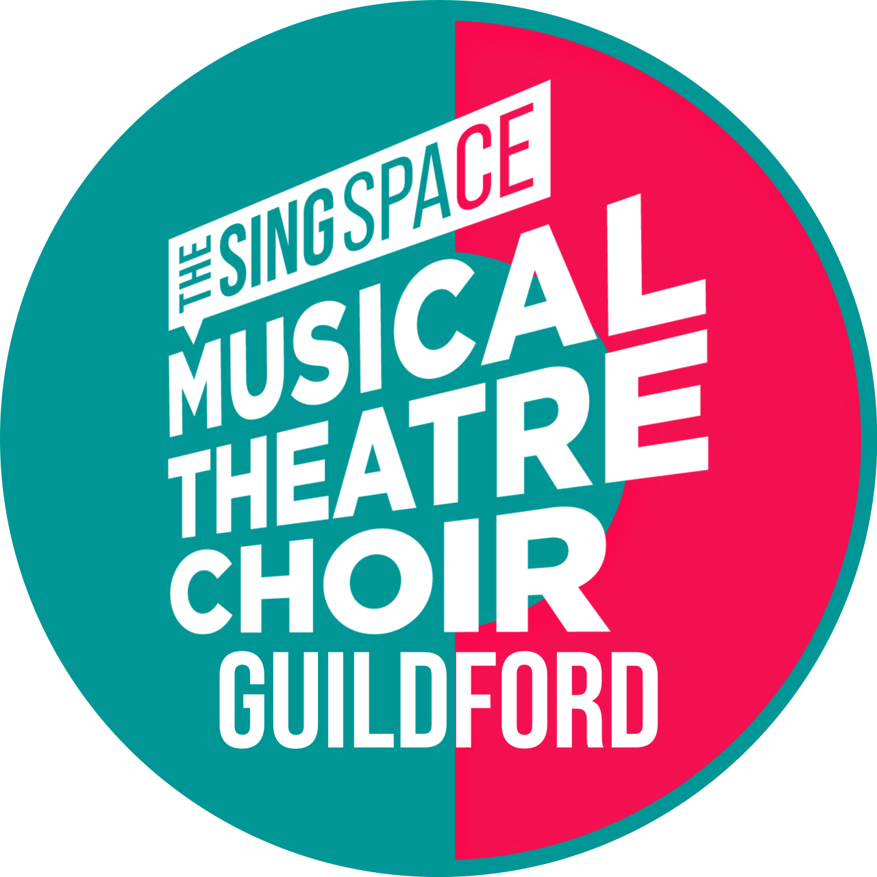 The Sing Space Musical Theatre Choir