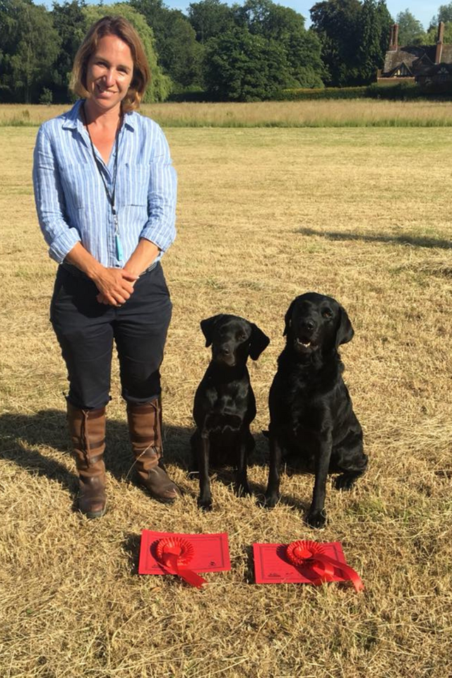 Gundog Training Holidays Mid Wales Holidays