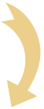 down arrow