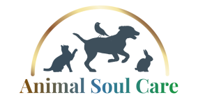Animal Soul Care with Birdi Sinclair Animal Chaplain