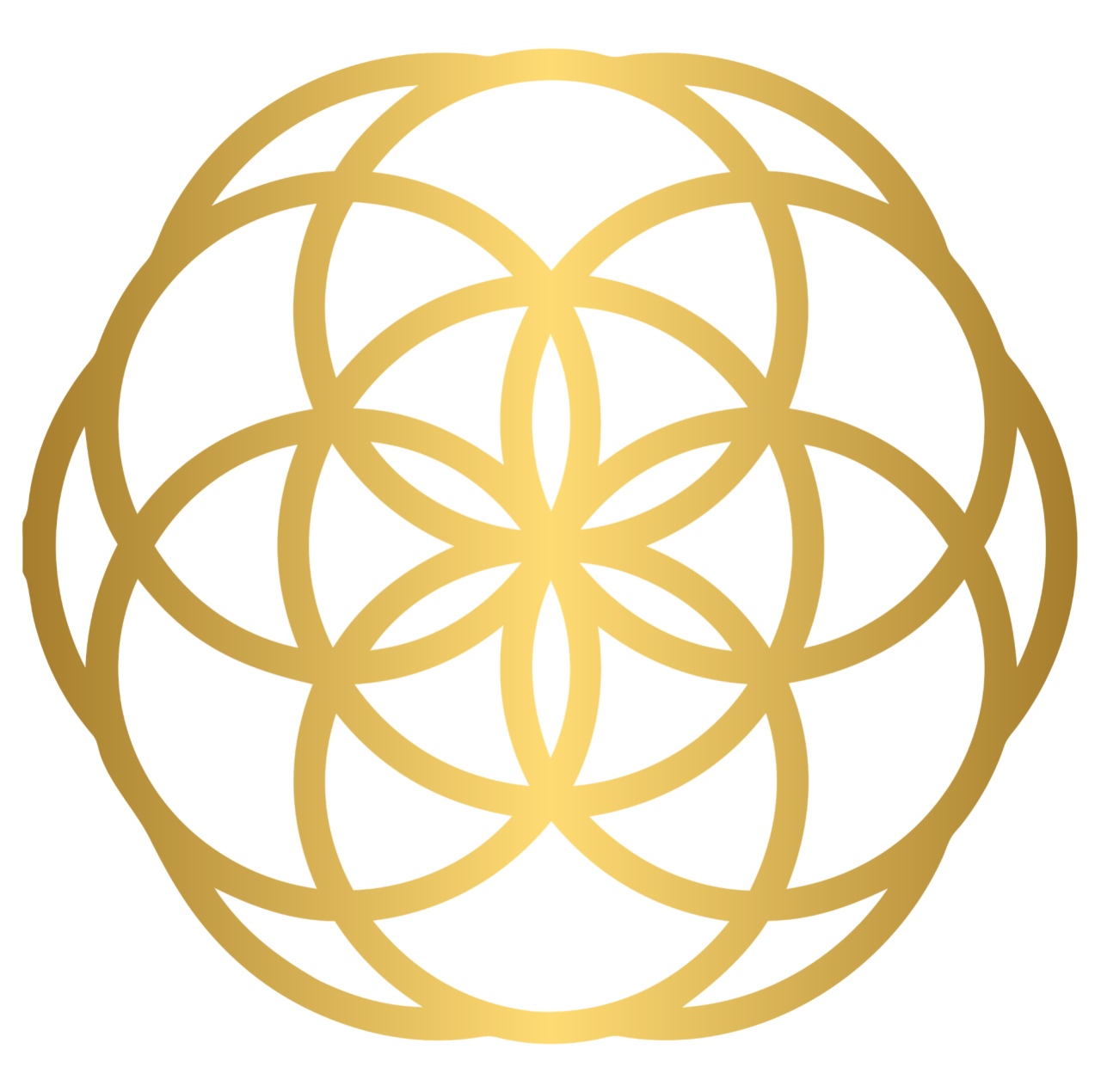 seed of life icon