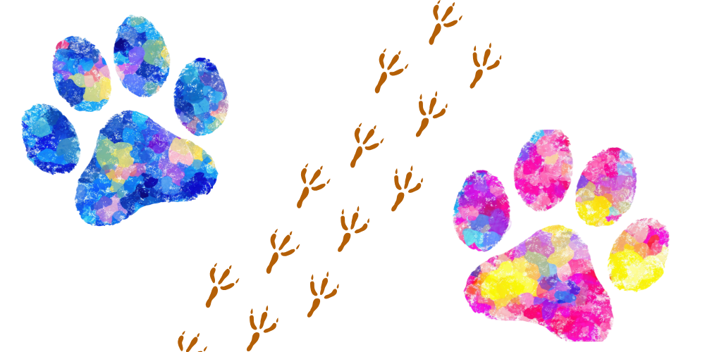 colorful animal footprints