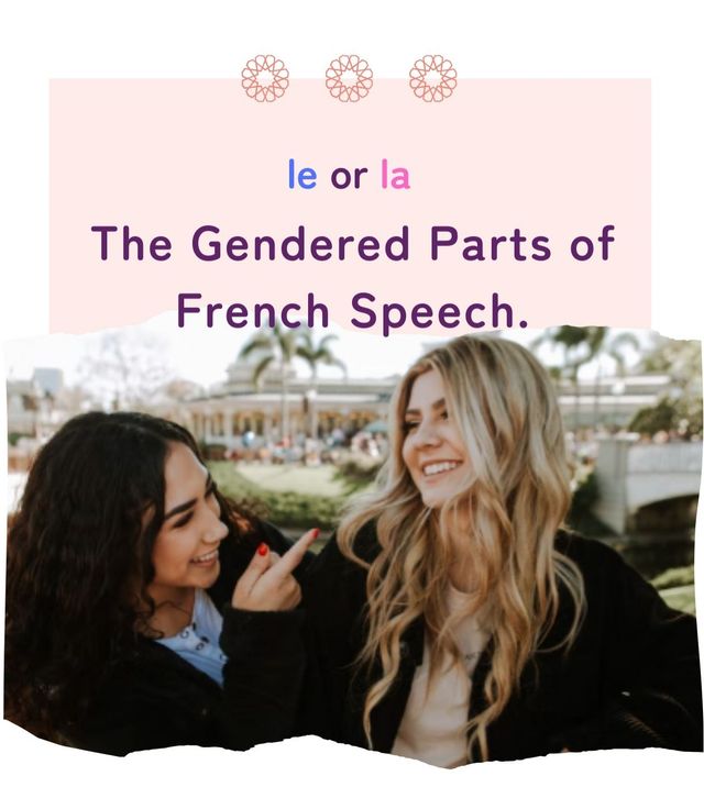 Understanding Masculine and Feminine in French French Noun Gender Rules