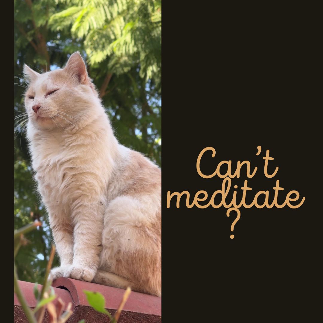 Meditation Starts With ME book