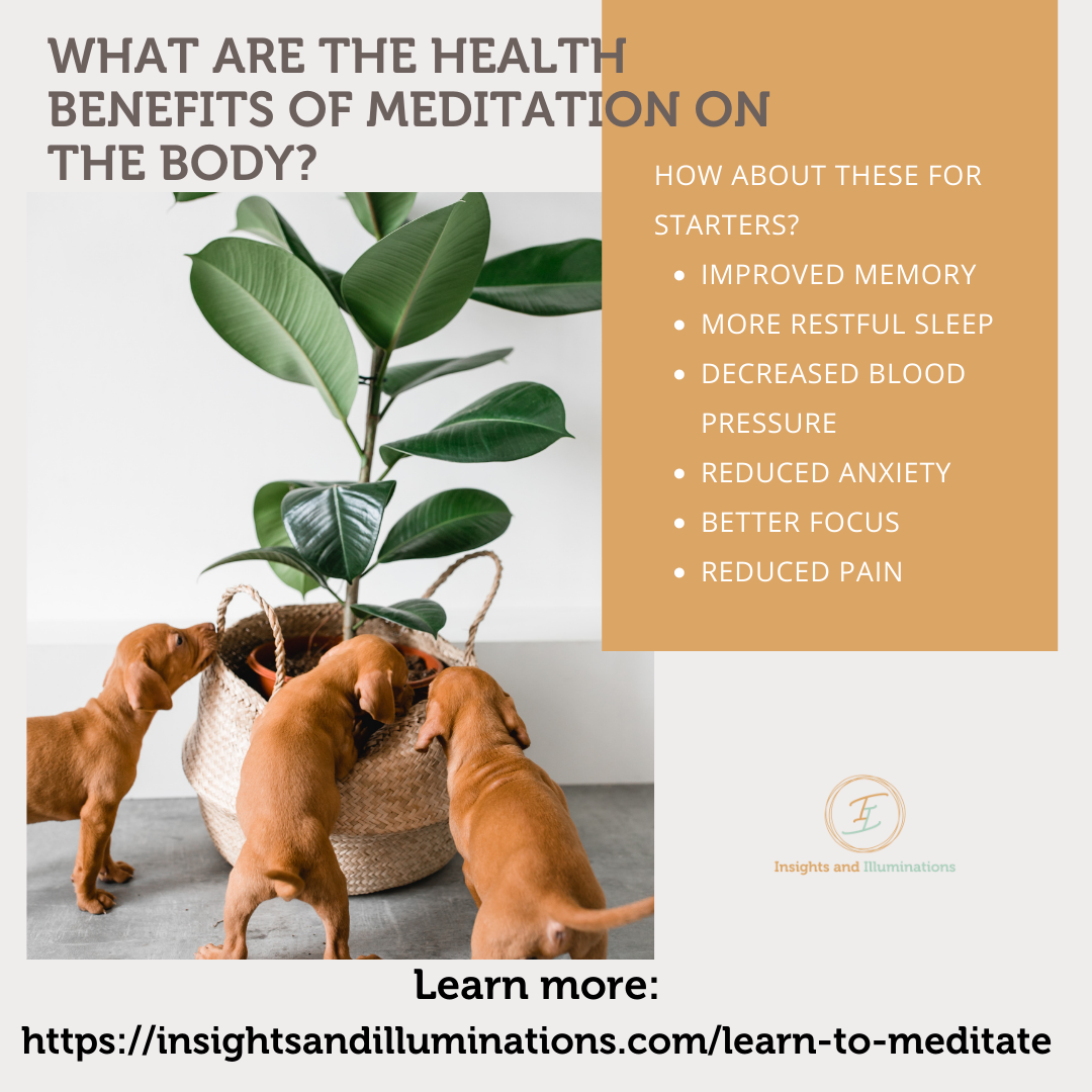 Meditation Starts With Me Free Ebook