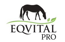 Pro Eqvital