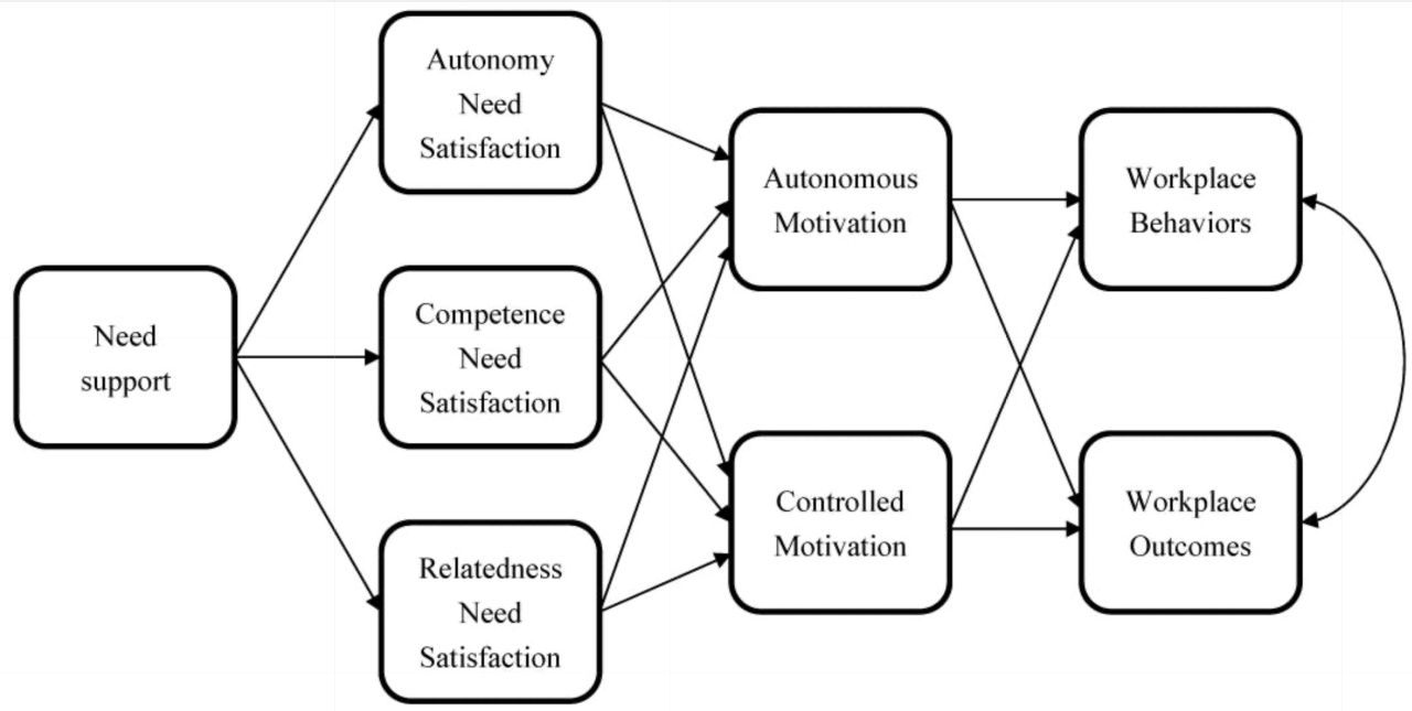 Model proposing associations among constructs from self-determination theory and workplace outcomes