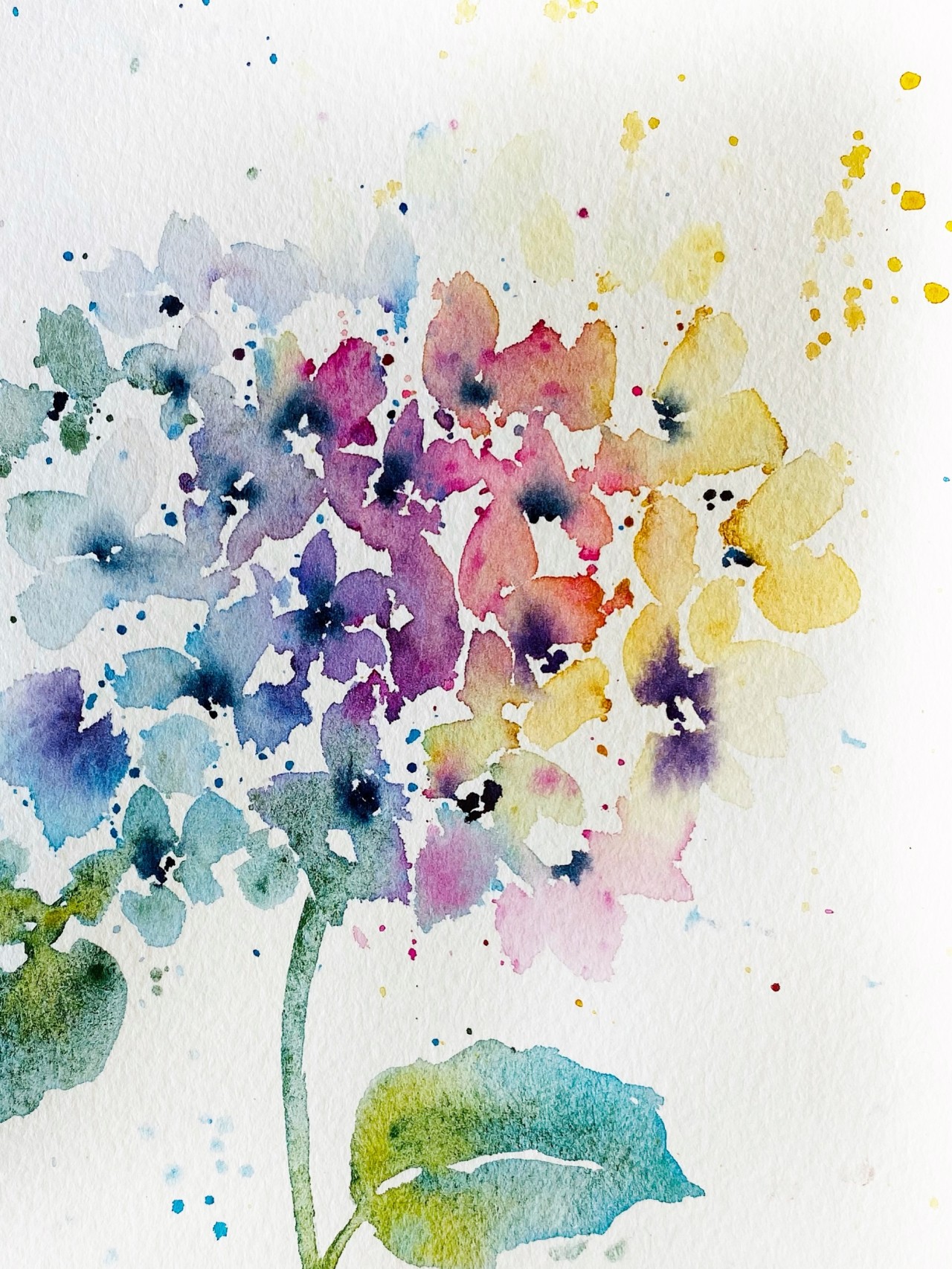 Watercolor_Hygrangea