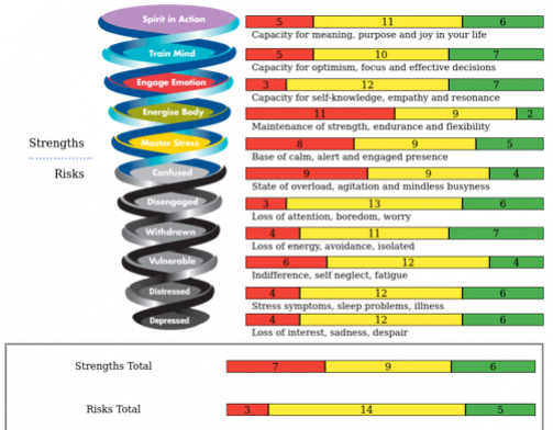 resilience, measuring resilience, resilience diagnostic