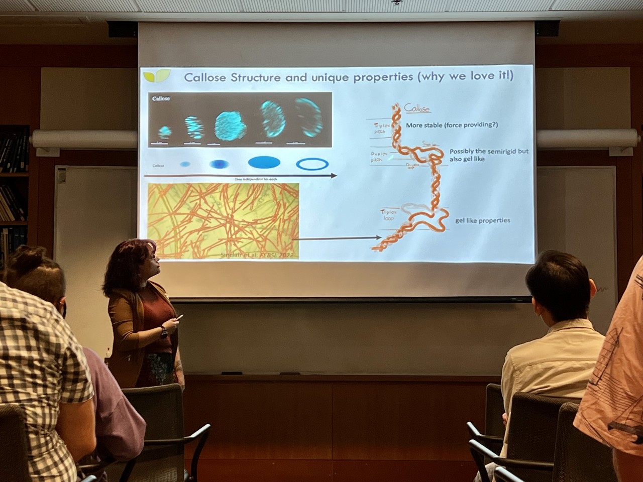 Rosalie Sinclair presenting a lecture in a classroom, standing next to a projected slide titled “Callose Structure and unique properties (why we love it!)” showing microscopic images and molecular diagrams of callose, with several attendees seated and listening.