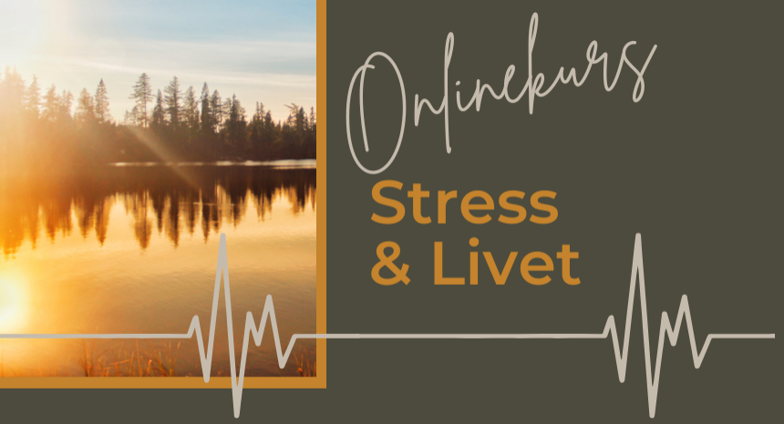 Kurskort Onlinekurs Mina livsvärden mitt i livet