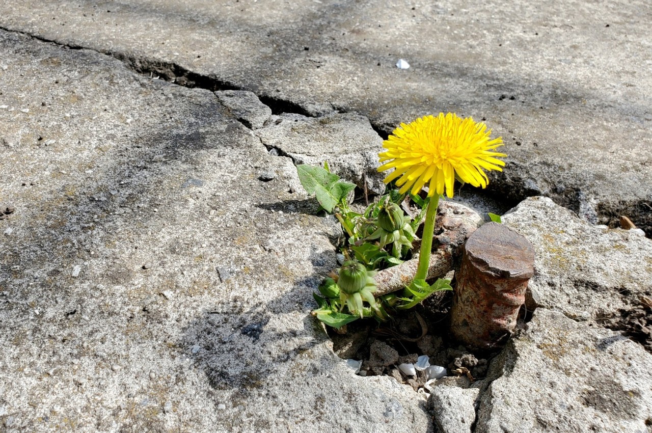 Bild Reflektionsövning och välja värden