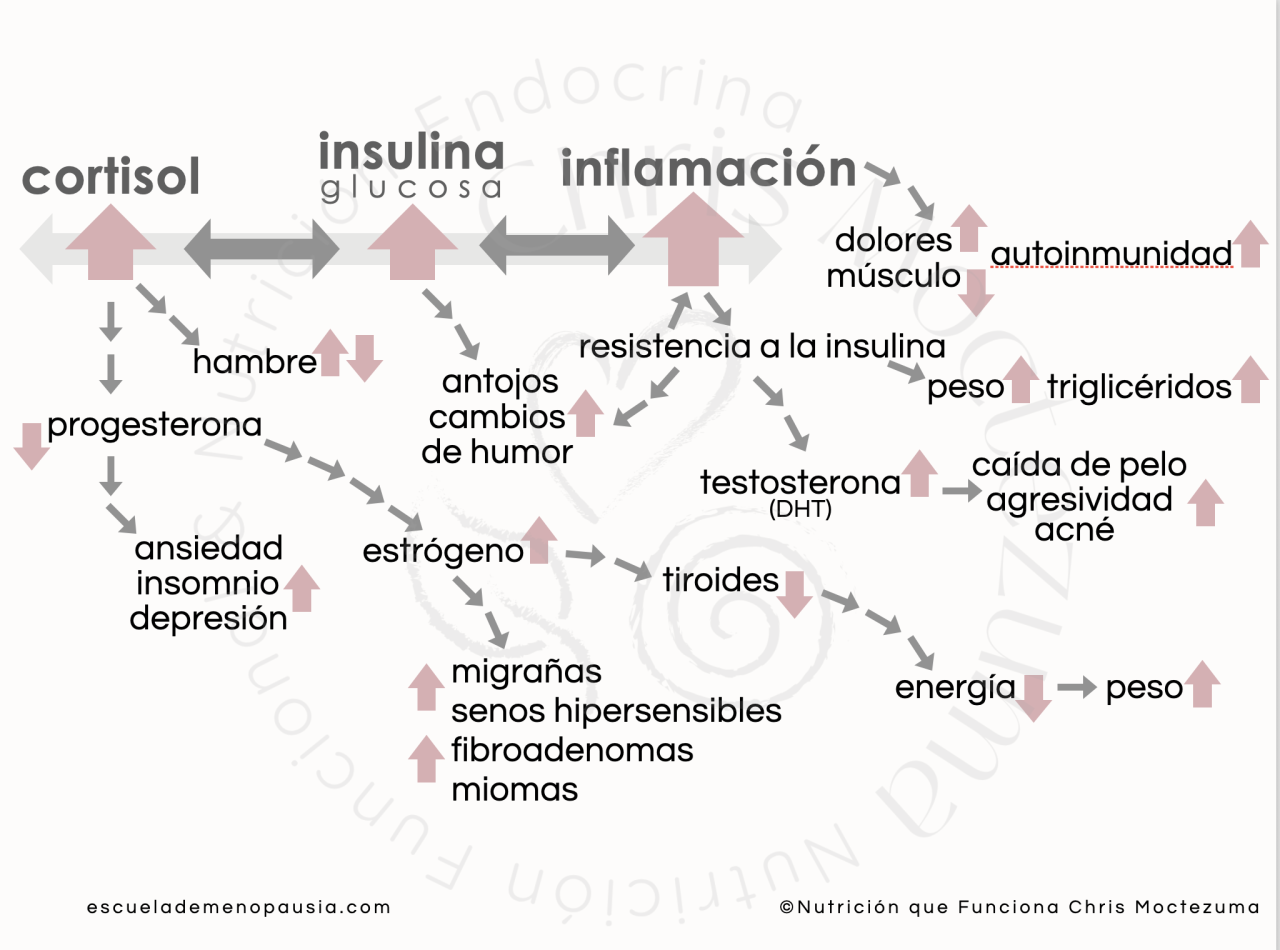 Gráfico de cortisol, insulina e inflamación y su impacto sobre las hormonas y los síntomas de la menopausia