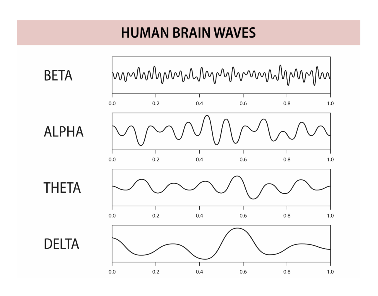 diagram of 4 brain wave states: beta, alpha, theta, delta
