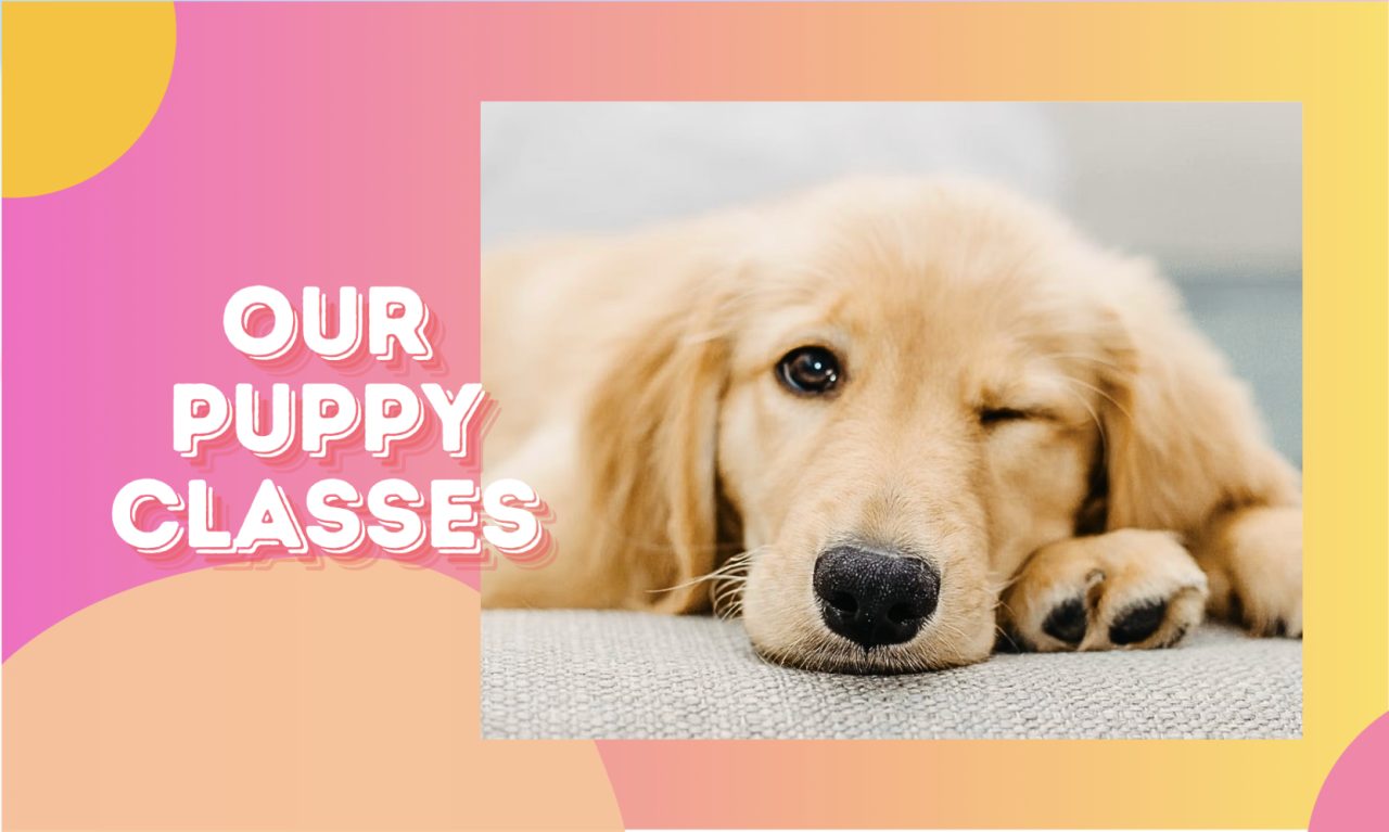 puppy classes essex east london