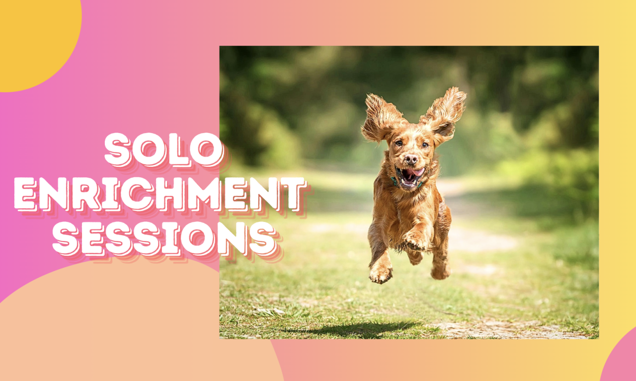 solo walks solo training sessions