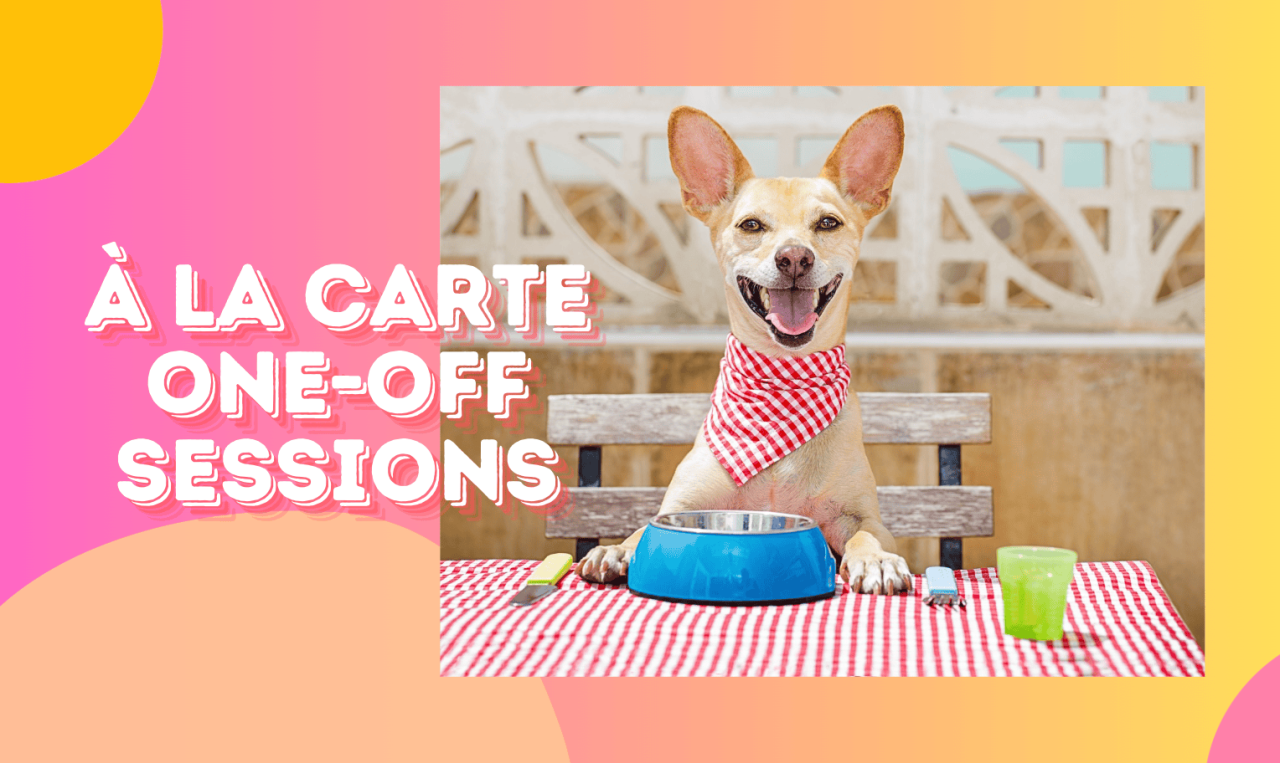 separation anxiety support dog training 