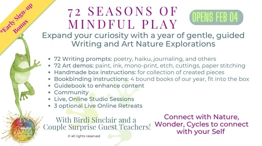 72 Seasons of mindful play - course banner - Birdi Sinclair