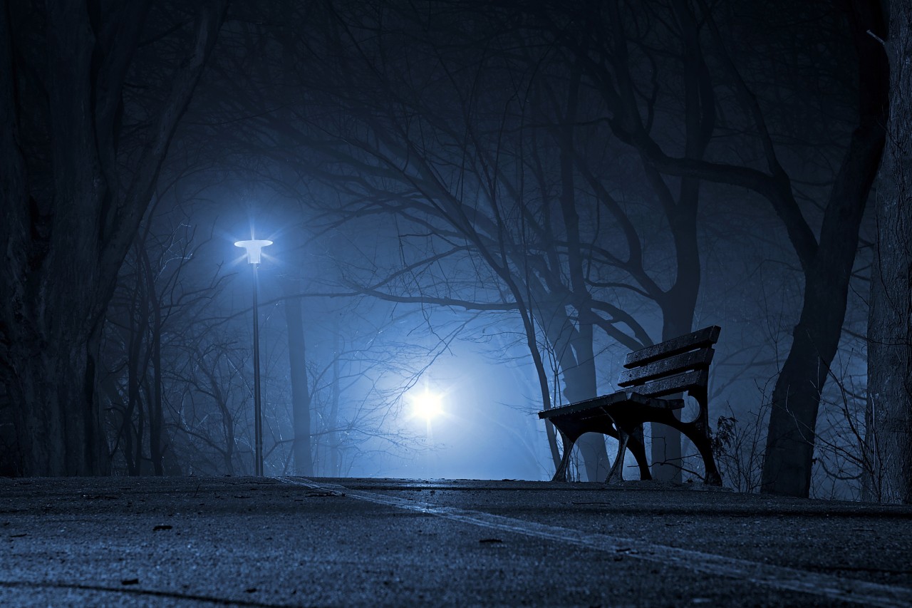 night scene of park bench with trees and park lights on